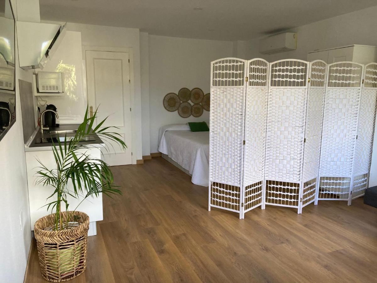 Estudio Pedregalejo Garden Málaga Dış mekan fotoğraf
