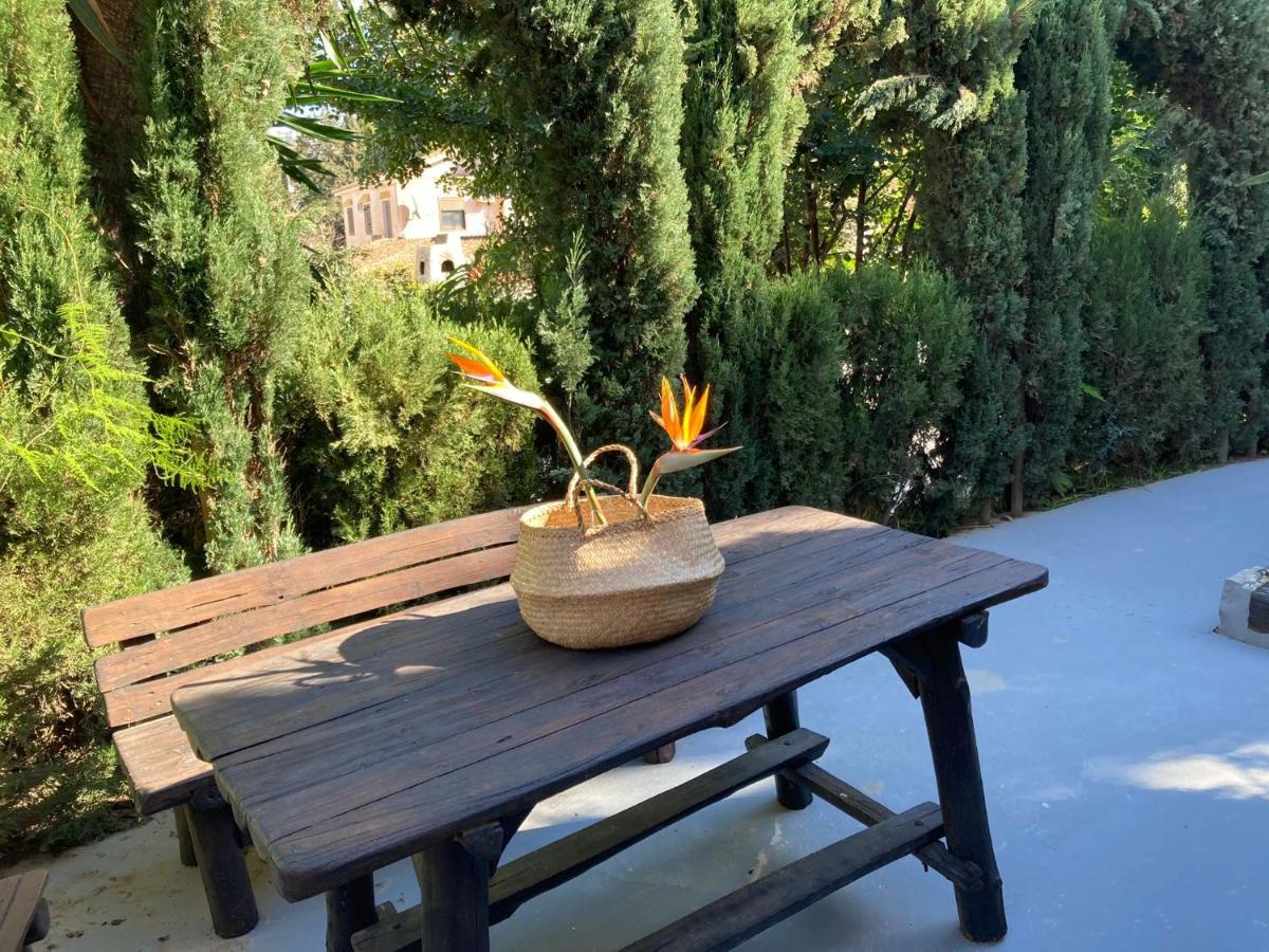 Estudio Pedregalejo Garden Málaga Dış mekan fotoğraf